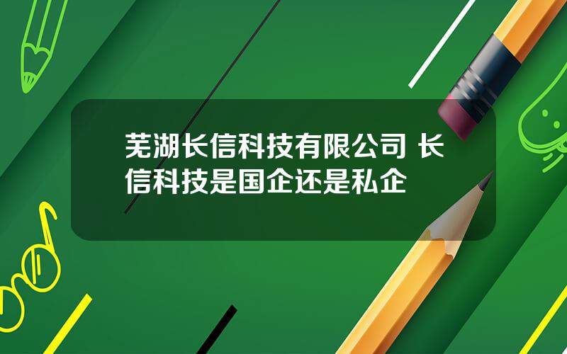 芜湖长信科技有限公司 长信科技是国企还是私企